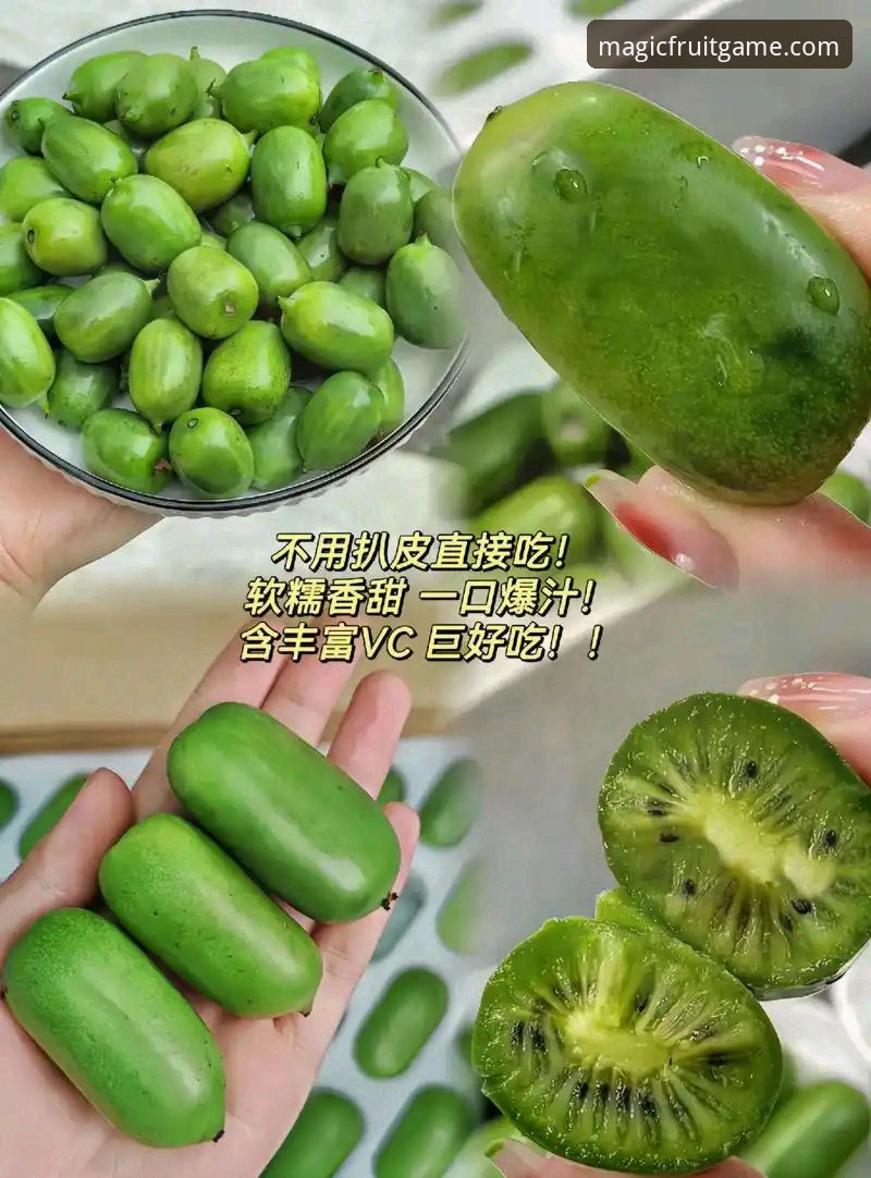 奇异果体育苹果版下载不了怎么办？3大维度9种实用解决方案